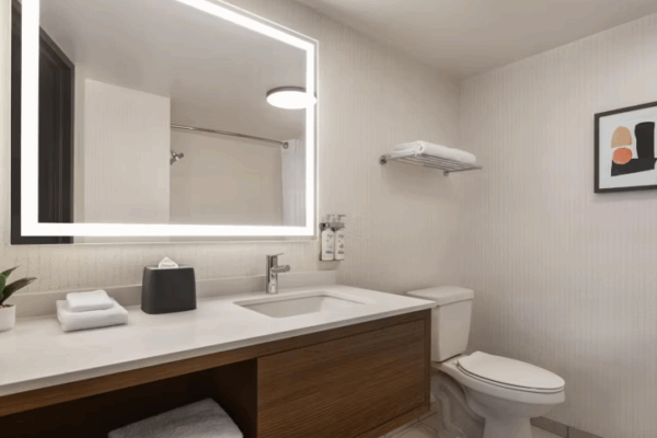 HPD Project, Holiday Inn – Nashville, TN, Bathroom