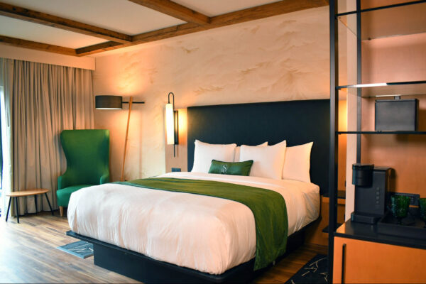 HPD Project, The Swiftwater – Pocono Mountains, PA, King Room