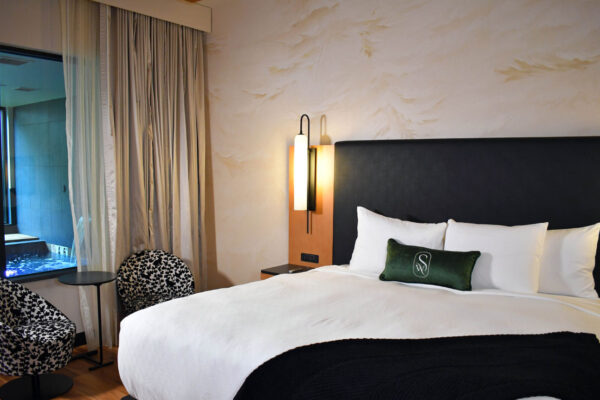 HPD Project, The Swiftwater – Pocono Mountains, PA, Pool, King Room