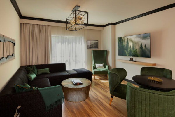 HPD Project, The Swiftwater – Pocono Mountains, PA, Suite